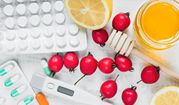 Regulatory Landscape of Probiotics in Hungary