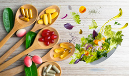 Regulatory Landscape of Probiotics in Turkey