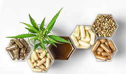 Regulatory Landscape of Probiotics in the United States of America