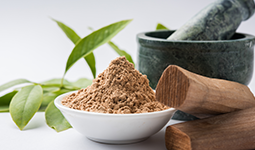 Regulation of Traditional Medicines in Chile