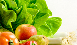 Regulatory Report for Food and Beverages of Russia