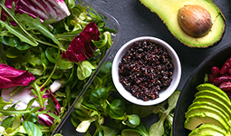 Regulatory Report for Food and Beverages of Brazil