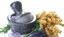 Regulatory Report for Traditional Medicine of Japan