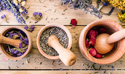 Regulatory Report for Traditional Medicine of Kazakhstan