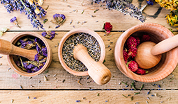 Regulatory Report for Traditional Medicine of Russia