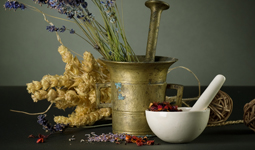 Regulatory Report for Traditional Medicine of Vietnam